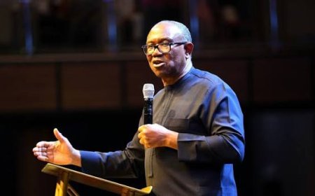 Peter Obi's Media Office Accuses Minister Of Solid Minerals, Dele Alake, Of Chasing Shadows While His Sector Bleeds – tragic irony of a failed Minister