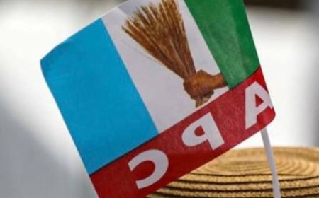 APC Clears All Chairmanship, Councillorship Seats In Enugu