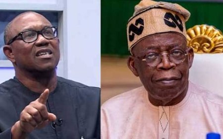 Where is Nigeria's President? Peter Obi asks