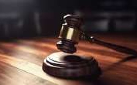 Court Convicts 21 Companies for Operating Illegal Investment Schemes