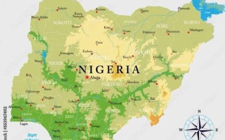 Nigeria: 66 Years Of Crawling