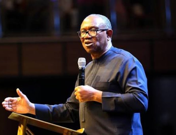 Peter Obi's Media Office Accuses Minister Of Solid Minerals, Dele Alake, Of Chasing Shadows While His Sector Bleeds – tragic irony of a failed Minister