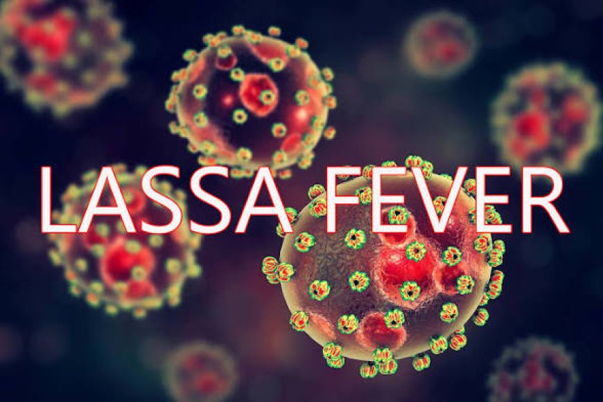 Lassa Fever Kills 252 In Four States — NCDC