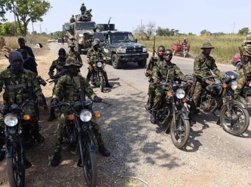 Terrorists Kill 11 In Adamawa