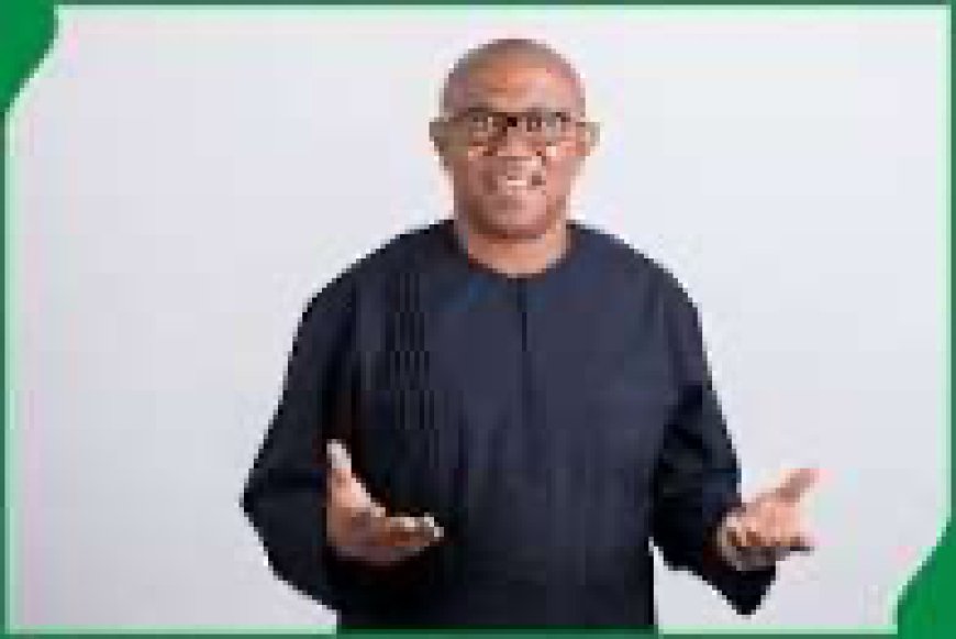 How hired thugs prevented Peter Obi's entry into Benue State.