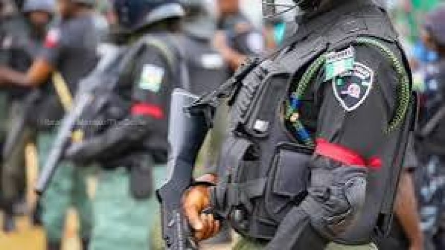 Four Police Officers, Seven Civilians Killed In Benue Community Attack