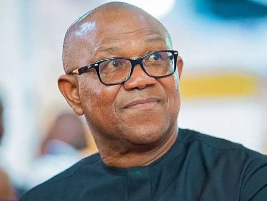 Scrutiny of Presidential Candidates: How Nigerians Use a Microscope on Obi And A Blindfold On Others? —Media Office.