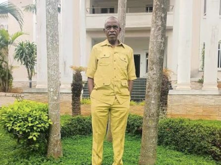  “ The Surrogate Presidency in 2027 and the Igbo Votes.”