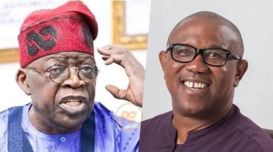 We Cannot Have Different Strokes For Different Folks!!! (Bola Tinubu & Peter Obi)