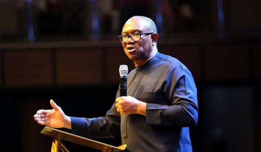 Peter Obi's Media Office Accuses Minister Of Solid Minerals, Dele Alake, Of Chasing Shadows While His Sector Bleeds – tragic irony of a failed Minister