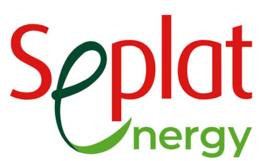 Seplat Energy Calls for Accelerated Investment to Position Nigeria as Africa’s Global Gas Powerhouse