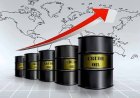 Crude Oil Production Has Risen To 1.8mb/d — Ojulari