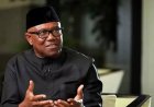 Peter Obi Didn't Ask Nigerians Living Abroad To Abandon Their Families