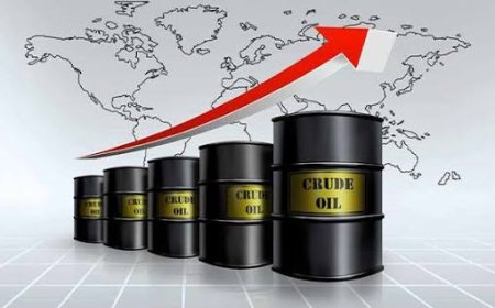 Crude Oil Production Has Risen To 1.8mb/d — Ojulari