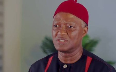 Removal Of Fuel Subsidy: President Tinubu Most Patriotic Nigerian Leader Since Independence ---- Rep Dennis Agbo