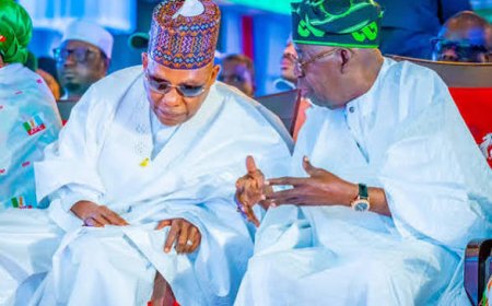 That Shettima’s “Diminished Obi” Message to Diminutive Igbo Leaders.