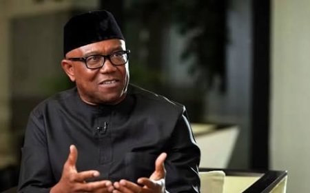 Peter Obi Didn't Ask Nigerians Living Abroad To Abandon Their Families