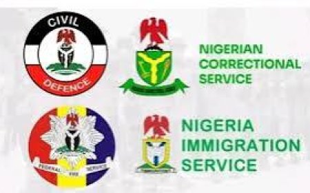 FG Approves Promotion Of 27,624 Officers Across Immigration, Fire Service And Civil Defence Corps