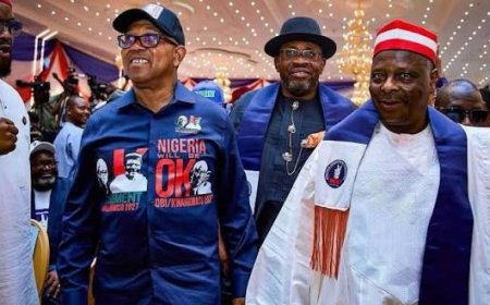 NDC Appoints Dickson, Obi, Kwankwaso As Members Of Presidential Campaign Council