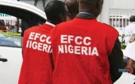Sting Operation at Applewood Estate and Matters Arising