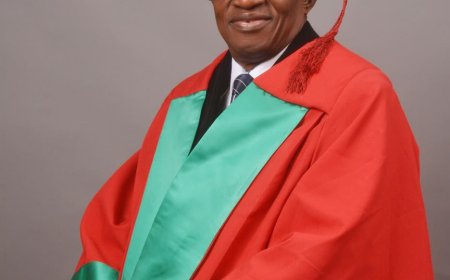 255th UNN Inaugural Lecture: Prof Chris Agbedo To Examine Linguistic Manipulation To Shape Power and Public Accountability On November 5
