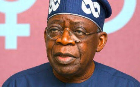 Tinubu Defends Fresh Borrowing Plans Amid Opposition