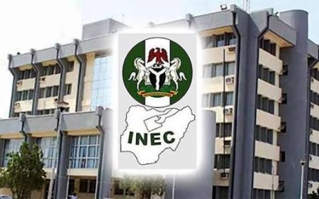 Update: INEC Upholds 41 Governorship Petitions, Rejects 28
