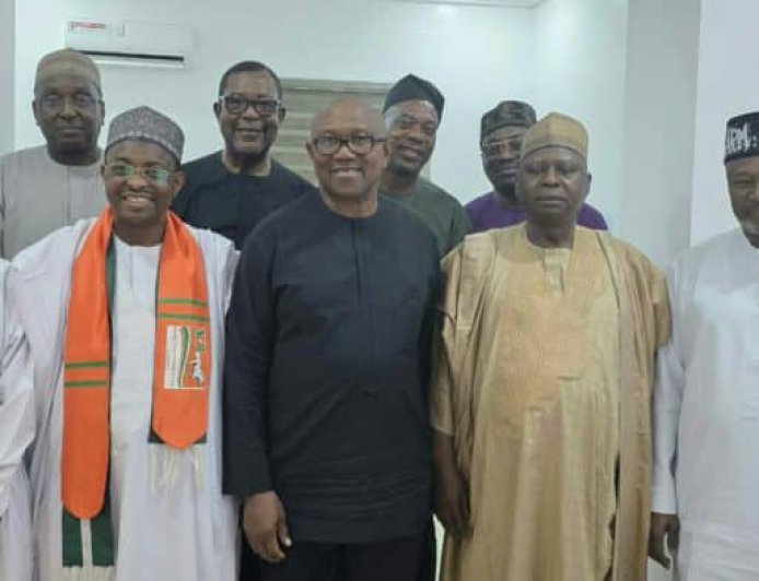 2027: Tinubu Can’t Hide Behind Surrogates To Govern, Campaign By Proxy ------- Peter Obi’s Media Team