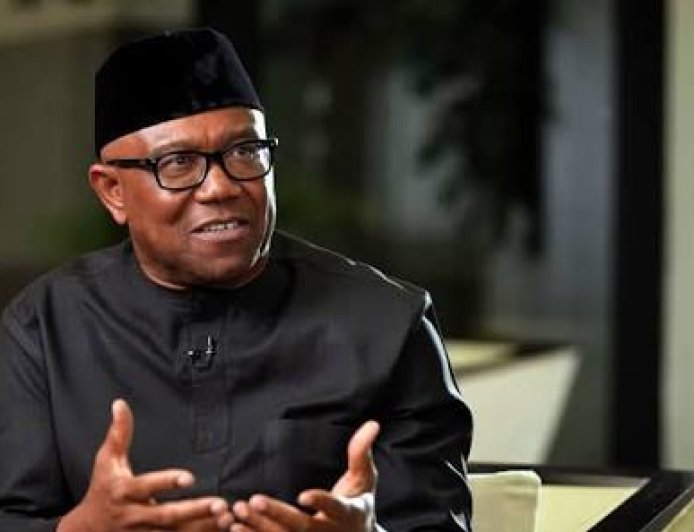 Peter Obi Didn't Ask Nigerians Living Abroad To Abandon Their Families