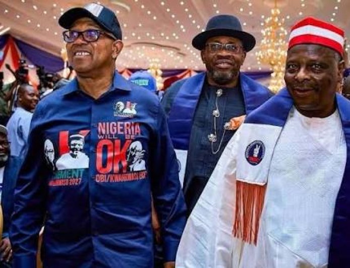 NDC Appoints Dickson, Obi, Kwankwaso As Members Of Presidential Campaign Council