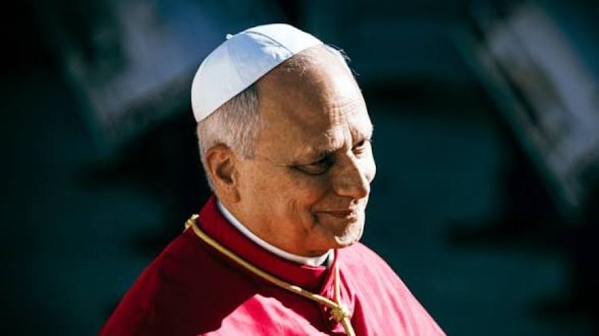 Pope Leo Diagnosed Undergoes Surgery For Lung Cancer