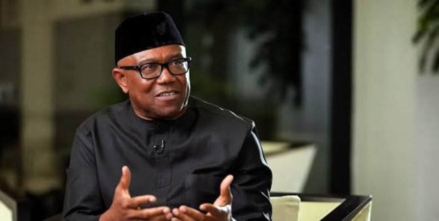 Peter Obi Didn't Ask Nigerians Living Abroad To Abandon Their Families