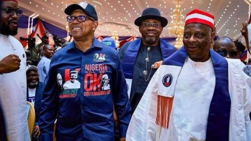 NDC Appoints Dickson, Obi, Kwankwaso As Members Of Presidential Campaign Council