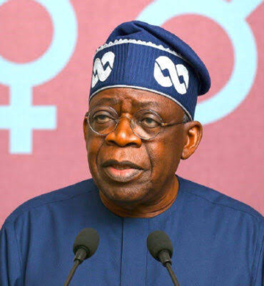 Tinubu Defends Fresh Borrowing Plans Amid Opposition